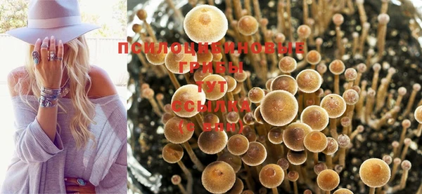 spice Алексин